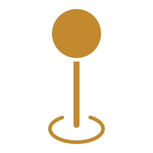 icon pin